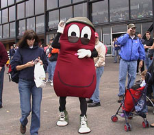 Boston Baked Bean in Action